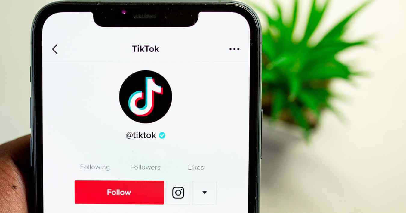 Trollishly: How Small Businesses Can Use TikTok to Boost Sales?