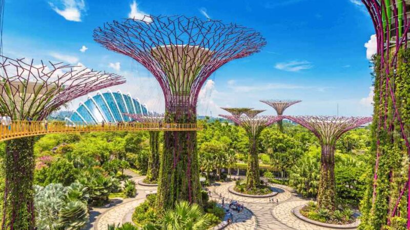 The Green Oasis: Uncovering Singapore’s Beautiful Gardens and Parks 