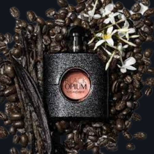 What is YSL Black Opium Dossier.co?
