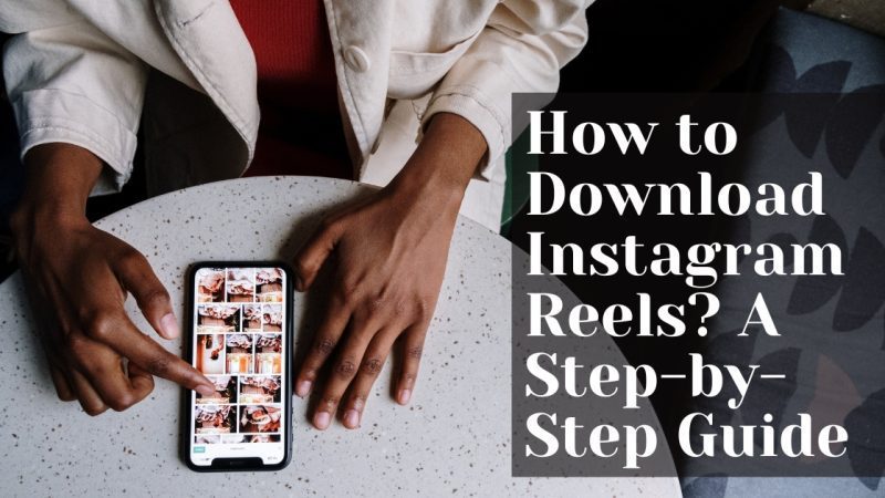 How to Download Instagram Reels or Videos? 2 Simple Ways