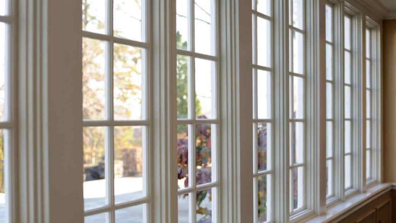 Mold In Windows And Windows Replacement
