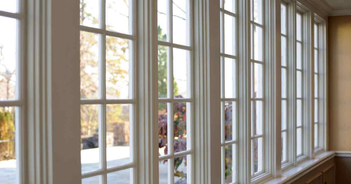 Mold In Windows And Windows Replacement