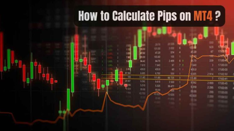 How To Calculate Pips On MT4 – Guide For Forex Beginners